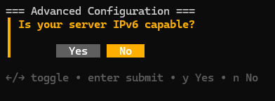 Вопрос о поддержке сервером протокола IPv6 - Как установить Pangolin на Linux