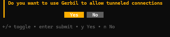 Вопрос об использовании Gerbil для организации туннельных подключений