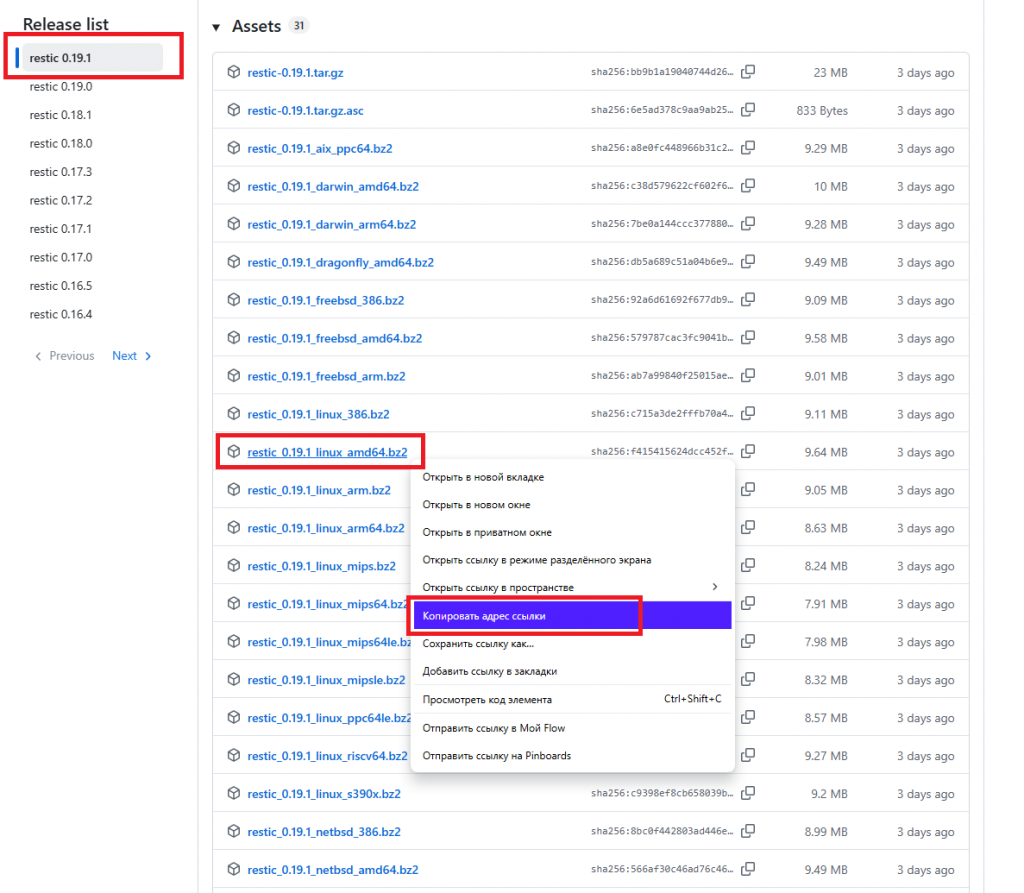 Страница релизов Restic на GitHub