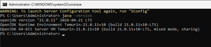 Вывод версии Java на Windows Server Core