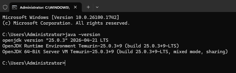 Вывод текущей версии Java на Windows Server