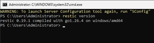 Вывод версии Restic на Windows Server