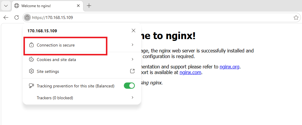 Дефолтная страница Nginx - TLS-сертификат Let's Encrypt по IP-адресу