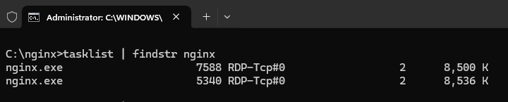 Список процессов, в котором будут отображаться процессы nginx.exe